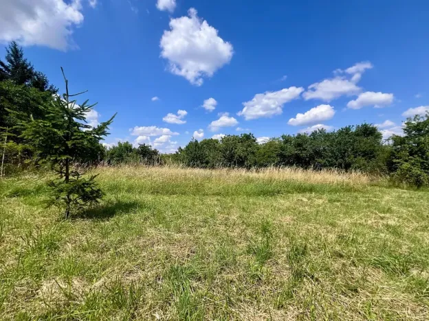 Prodej zemědělské usedlosti, Lašovice, 95 m2