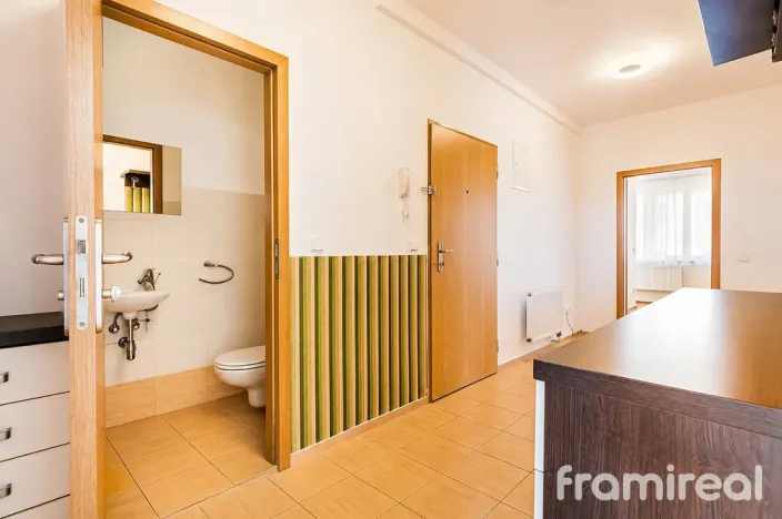 Pronájem bytu 4+kk, Brno, Helfertova, 106 m2