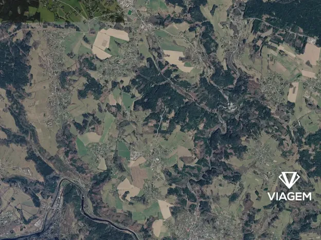 Prodej podílu lesa, Železný Brod, 881 m2