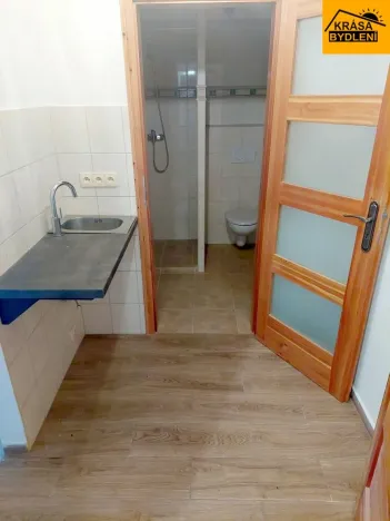 Prodej apartmánu, Písařov - Bukovice, 520 m2