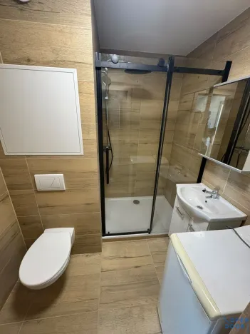 Pronájem bytu 1+1, Chomutov, Pod Břízami, 36 m2