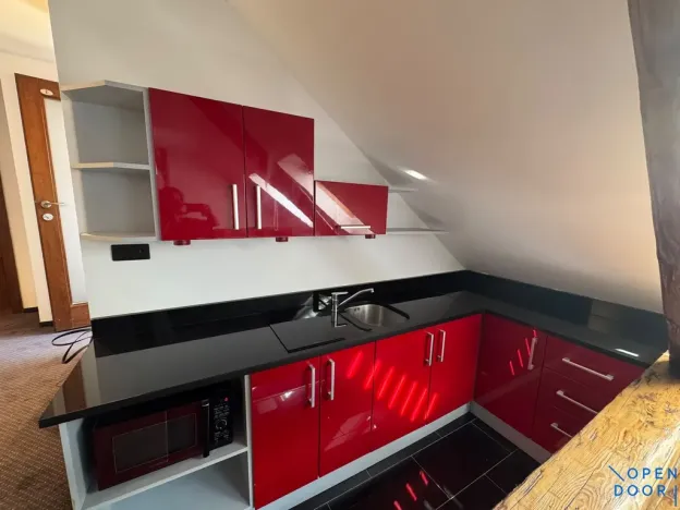Pronájem bytu 1+kk, Chomutov, Kukaňova, 55 m2