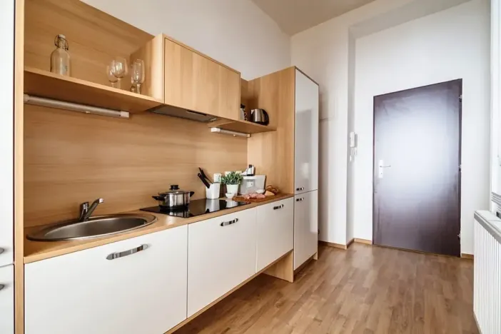 Pronájem bytu 1+1, Praha - Dejvice, Pod kaštany, 37 m2
