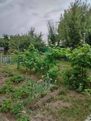 Prodej chaty, Kladno, U Trati, 20 m2
