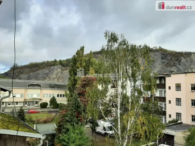 Pronájem bytu 1+1, Ústí nad Labem - Střekov, Mánesova, 25 m2