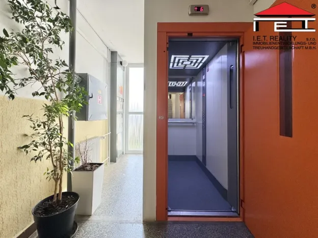 Prodej bytu 3+1, Brno, Arménská, 71 m2