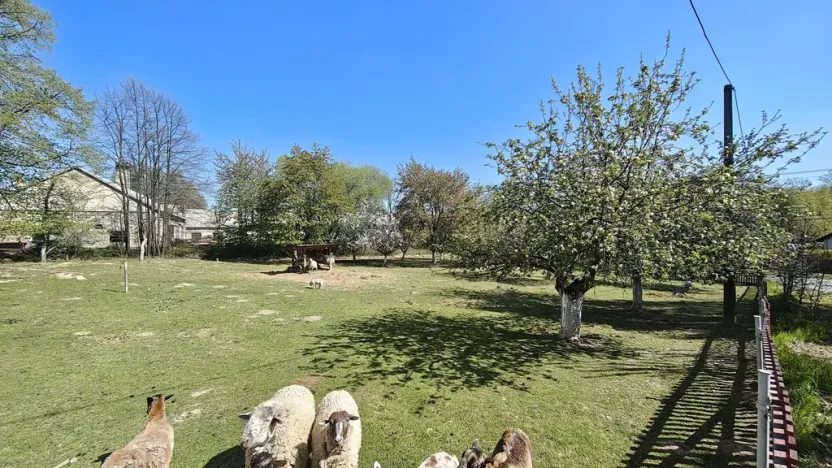 Prodej pozemku pro bydlení, Bartošovice, 1156 m2