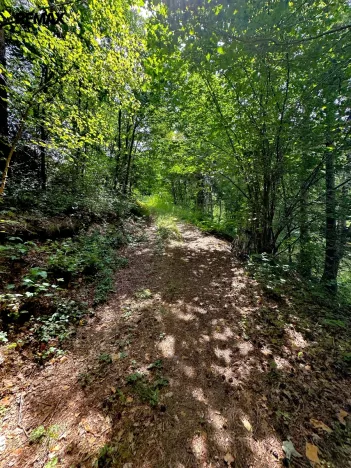 Prodej rybníku, Dačice, 25771 m2