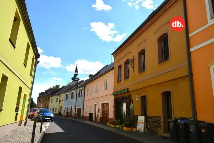 Pronájem bytu 1+1, Toužim, Farní, 40 m2