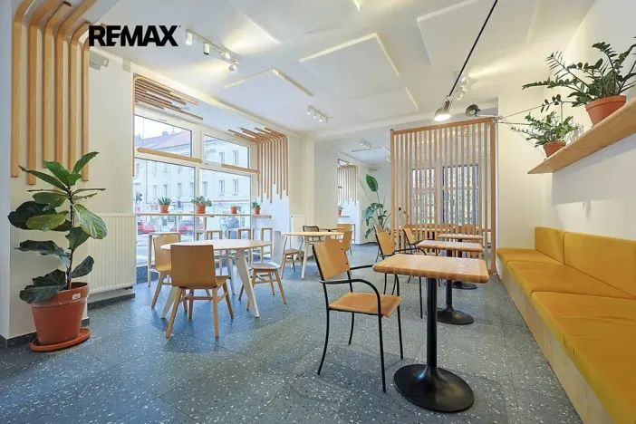 Pronájem obchodního prostoru, Plzeň, Škroupova, 210 m2