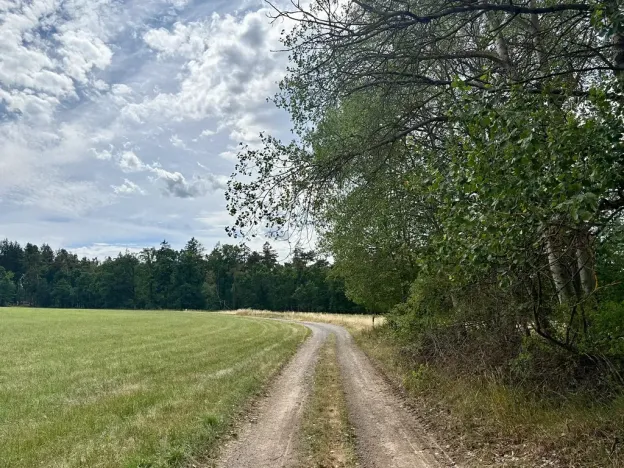 Prodej louky, Rybníky, 16399 m2