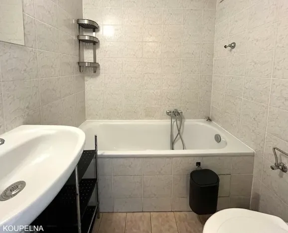 Pronájem bytu 1+kk, Brno, Mendlovo náměstí, 22 m2