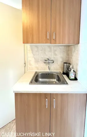 Pronájem bytu 1+kk, Brno, Mendlovo náměstí, 22 m2