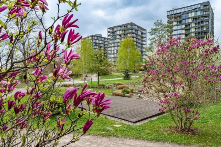 Pronájem bytu 2+kk, Praha - Žižkov, Malešická, 98 m2