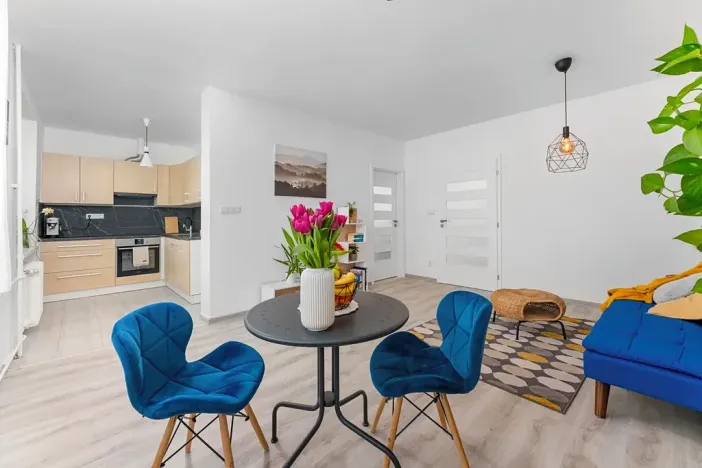 Pronájem bytu 2+kk, Ostrava, Francouzská, 54 m2