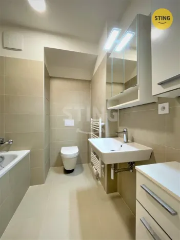 Pronájem bytu 1+kk, Ostrava, Hasičská, 34 m2
