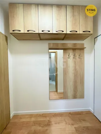 Pronájem bytu 1+kk, Ostrava, Hasičská, 34 m2