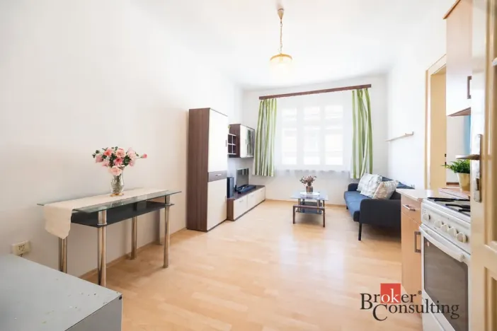 Prodej bytu 2+kk, Praha - Žižkov, Hartigova, 47 m2