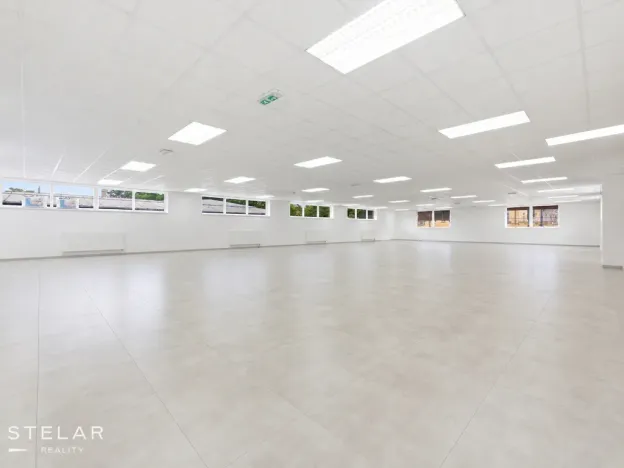 Pronájem obchodního prostoru, Opava, Rybářská, 160 m2