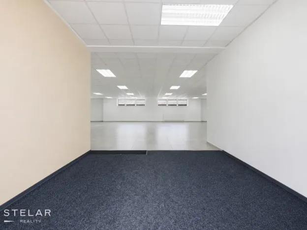 Pronájem obchodního prostoru, Opava, Rybářská, 160 m2
