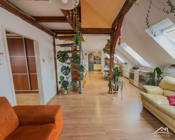 Prodej bytu 4+kk, Jihlava, 145 m2