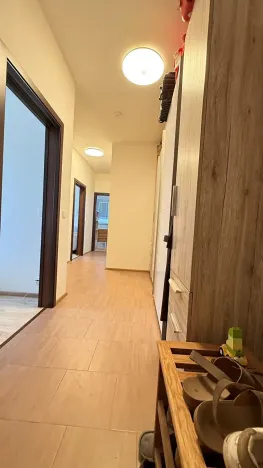 Prodej bytu 3+kk, Břežany II, 60 m2