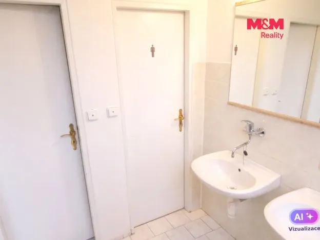 Pronájem obchodního prostoru, Ostrava - Mariánské Hory, Karasova, 335 m2