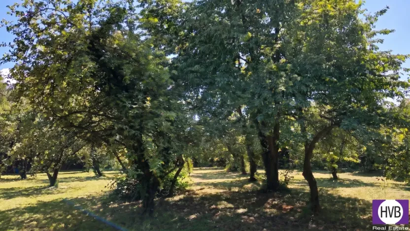 Prodej pozemku pro bydlení, Suchdol, 1100 m2