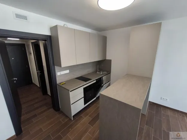 Pronájem bytu 1+kk, Olomouc - Nová Ulice, Třída Jiřího Pelikána, 33 m2