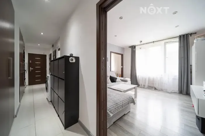 Prodej bytu 3+kk, Karviná, Borovského, 63 m2