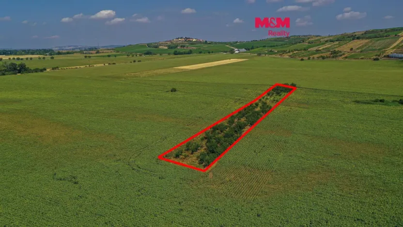 Prodej pole, Zaječí, 14490 m2