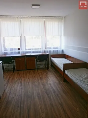 Pronájem bytu 1+kk, Olomouc, Wellnerova, 20 m2