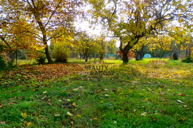 Pronájem zahrady, Znojmo, 1330 m2
