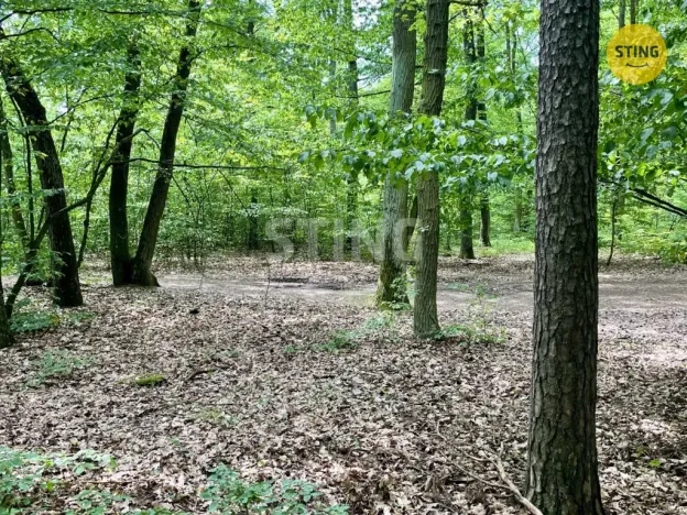 Prodej lesa, Brno - Řečkovice, 4307 m2