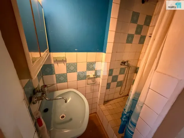 Prodej rodinného domu, Plzeň - Jižní Předměstí, Karlova, 200 m2