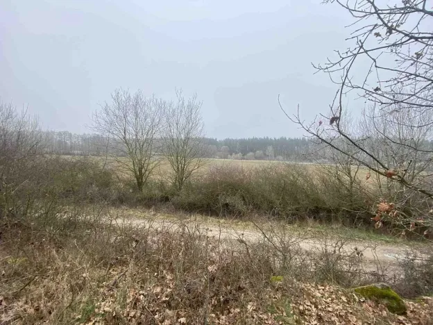 Prodej pole, Slatina, 13059 m2