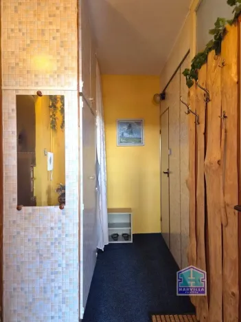 Prodej bytu 2+1, Karlovy Vary, Západní, 53 m2