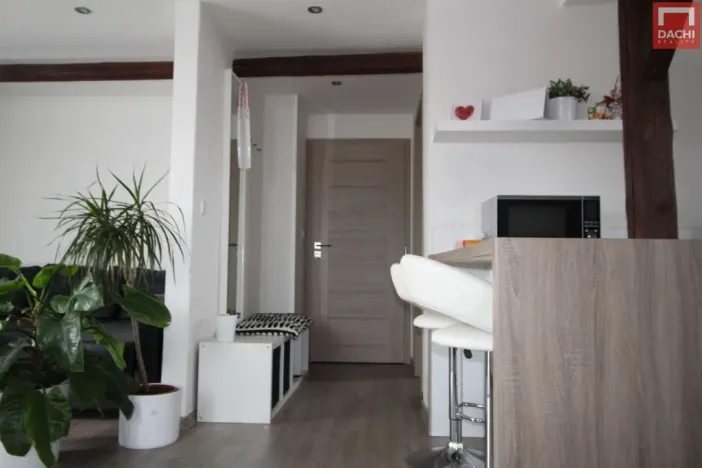 Pronájem bytu 1+kk, Olomouc - Hodolany, Za humny, 45 m2