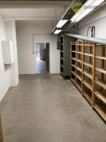 Pronájem skladu, Ostrava, Cihelní, 74 m2