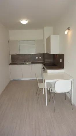 Pronájem bytu 1+kk, Střelice, Příční, 43 m2