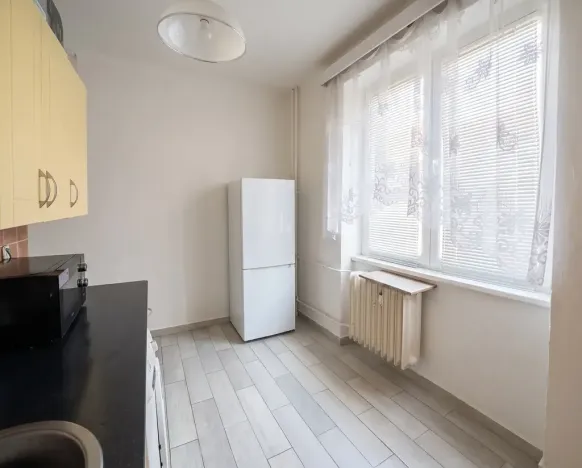Prodej bytu 2+1, Lovosice, Wolkerova, 52 m2