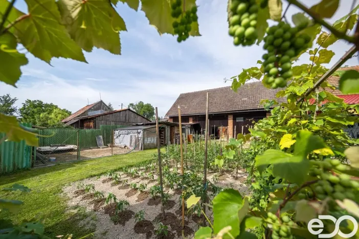 Prodej rodinného domu, Libáň - Kozodírky, 114 m2