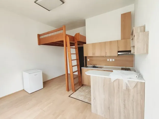 Pronájem bytu 1+kk, České Budějovice, Riegrova, 25 m2