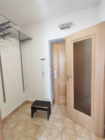 Pronájem bytu 1+kk, České Budějovice, Riegrova, 25 m2