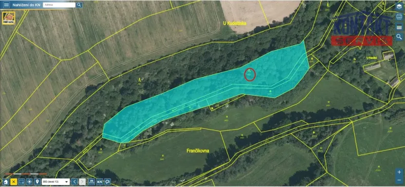 Prodej lesa, Spálené Poříčí - Záluží, 9268 m2