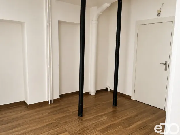 Pronájem bytu 1+1, Praha, Petra Rezka, 51 m2