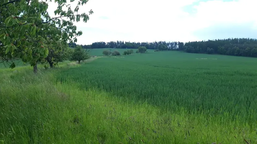 Prodej pozemku pro bydlení, Lipinka, 4373 m2