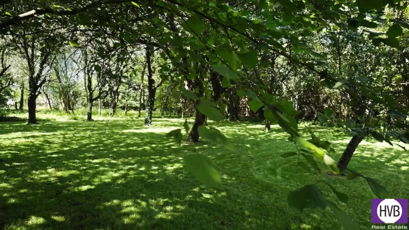 Prodej rodinného domu, Suchdol, 105 m2
