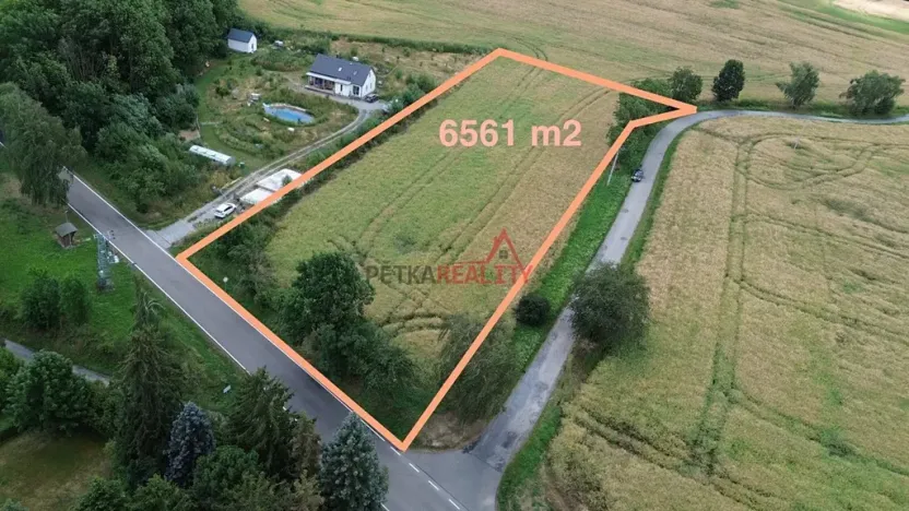 Prodej pozemku pro bydlení, Neustupov, 6561 m2