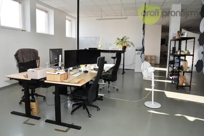 Pronájem obchodního prostoru, Ostrava, Cihelní, 701 m2